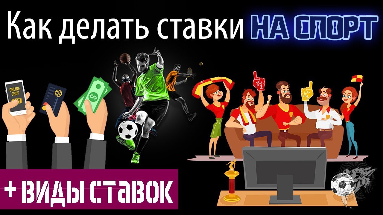 букмекерская контора