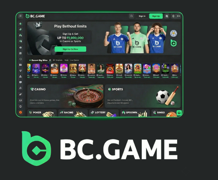 Experience Fortune The Rise of BC.CO Crypto-Based Online Casino